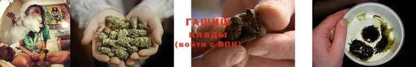 крисы Белокуриха