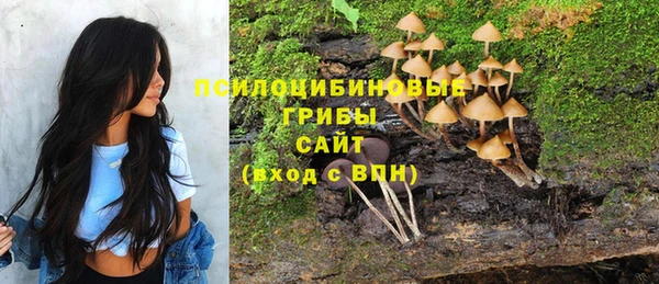 экстази Богородск