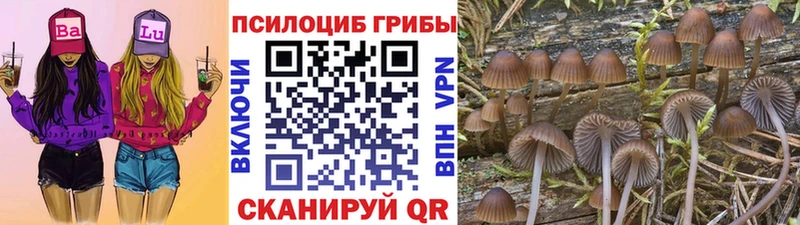 Галлюциногенные грибы ЛСД где купить наркотик Киров